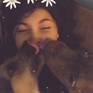 Meet your Posher, Lacy